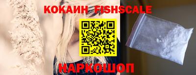 индика Ярославль