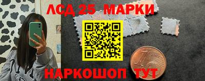 индика Ярославль