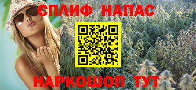 индика Ярославль