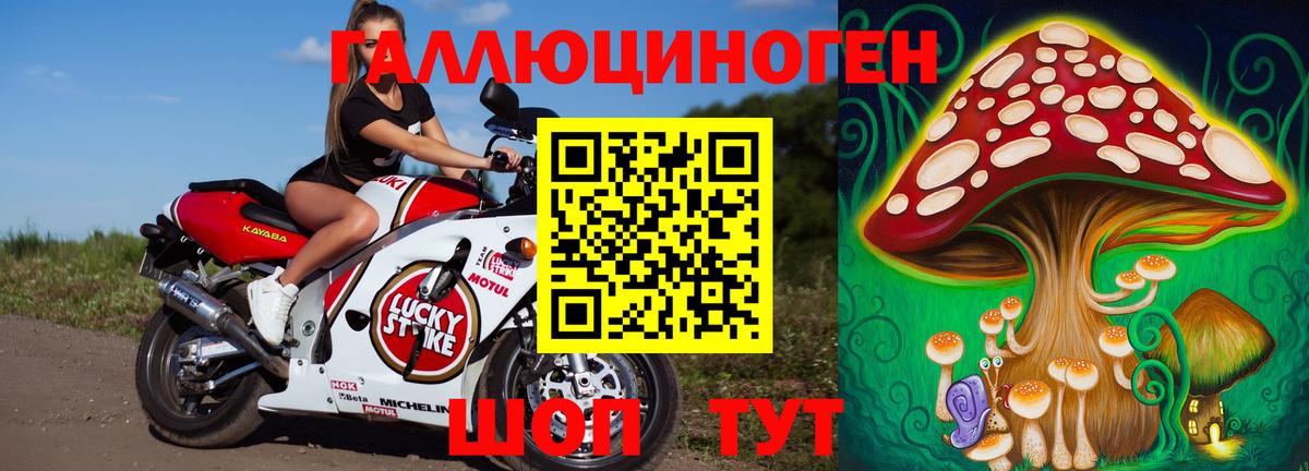 Асино  купить наркотик  Псилоцибиновые грибы мухоморы  Вход с VPN  Псилоцибиновые грибы ЛСД 