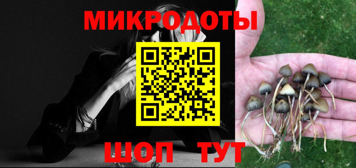 Псилоцибиновые грибы прущие грибы Асино